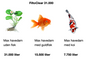 FiltoClear 31000 trykfilter med UVC, hvor mange liter i havedammen