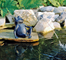Figur til havedams bassin koishopper
